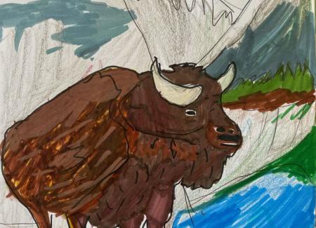 Drawing of a bison standing in front of mountains