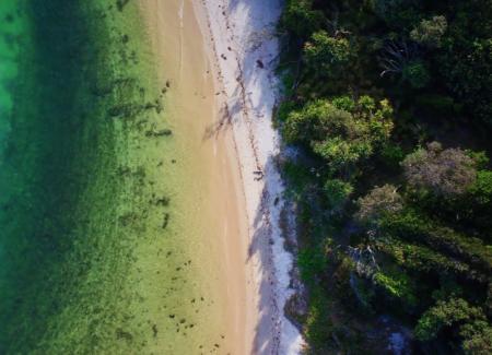 Aerial view of the ocean and trees