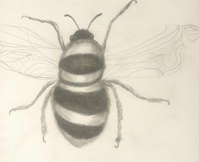 Led drawing of a bee