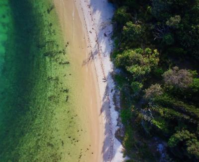 Aerial view of the ocean and trees