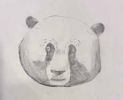Led drawing of a panda face