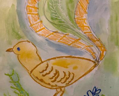 Drawing of a lyrebird with a green background