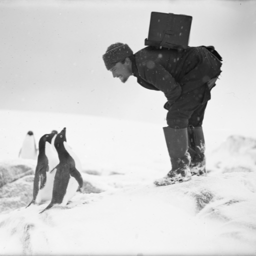 Man in snow speaking to a penguin