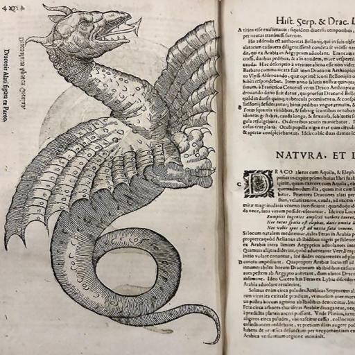 Dragon on the page of a book