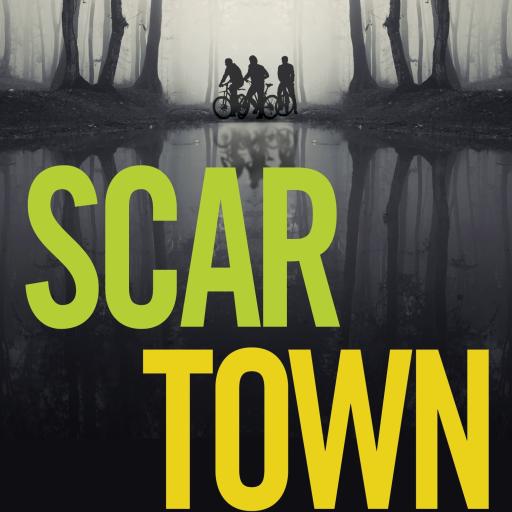 Book cover of Scar Town