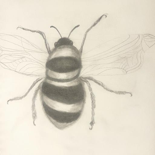 Led drawing of a bee