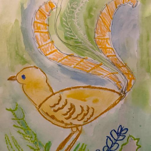 Drawing of a lyrebird with a green background